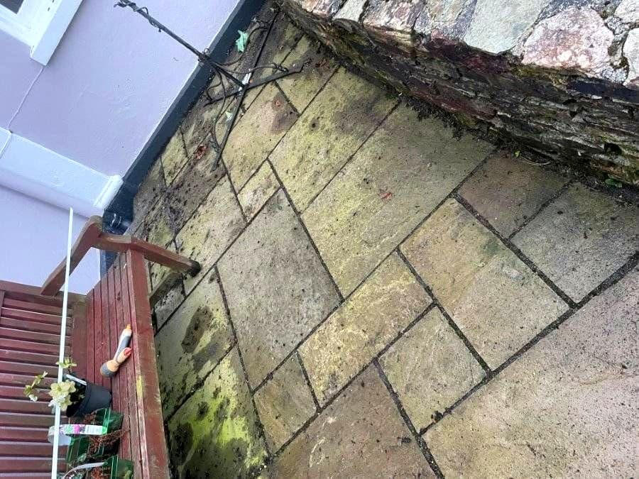 Moss-covered patio slabs in Devon before pressure washing